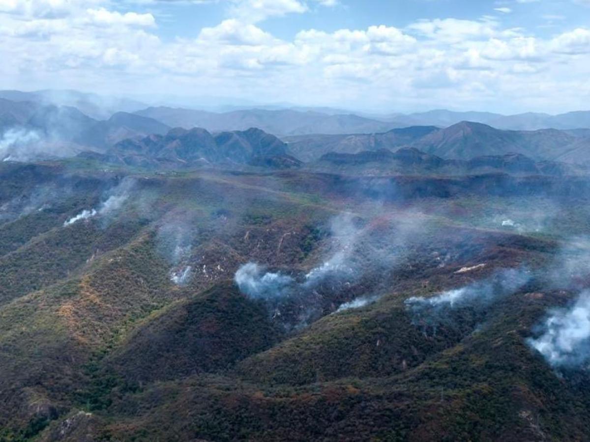 Incendios Colombia: UNGRD propone combatirlos con fuego técnico