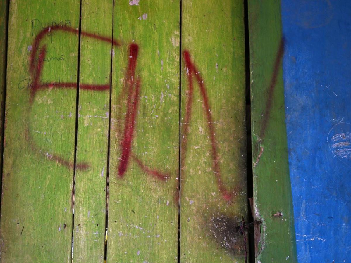 Eln levantaría paro armado en Chocó el 16 de noviembre 