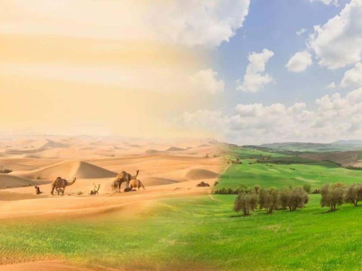 Día de Lucha contra la Desertificación y la Sequía martes 17 de junio de 2025