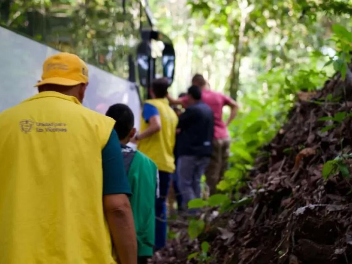 Reubicación de familias desplazadas del Catatumbo en Tolima 