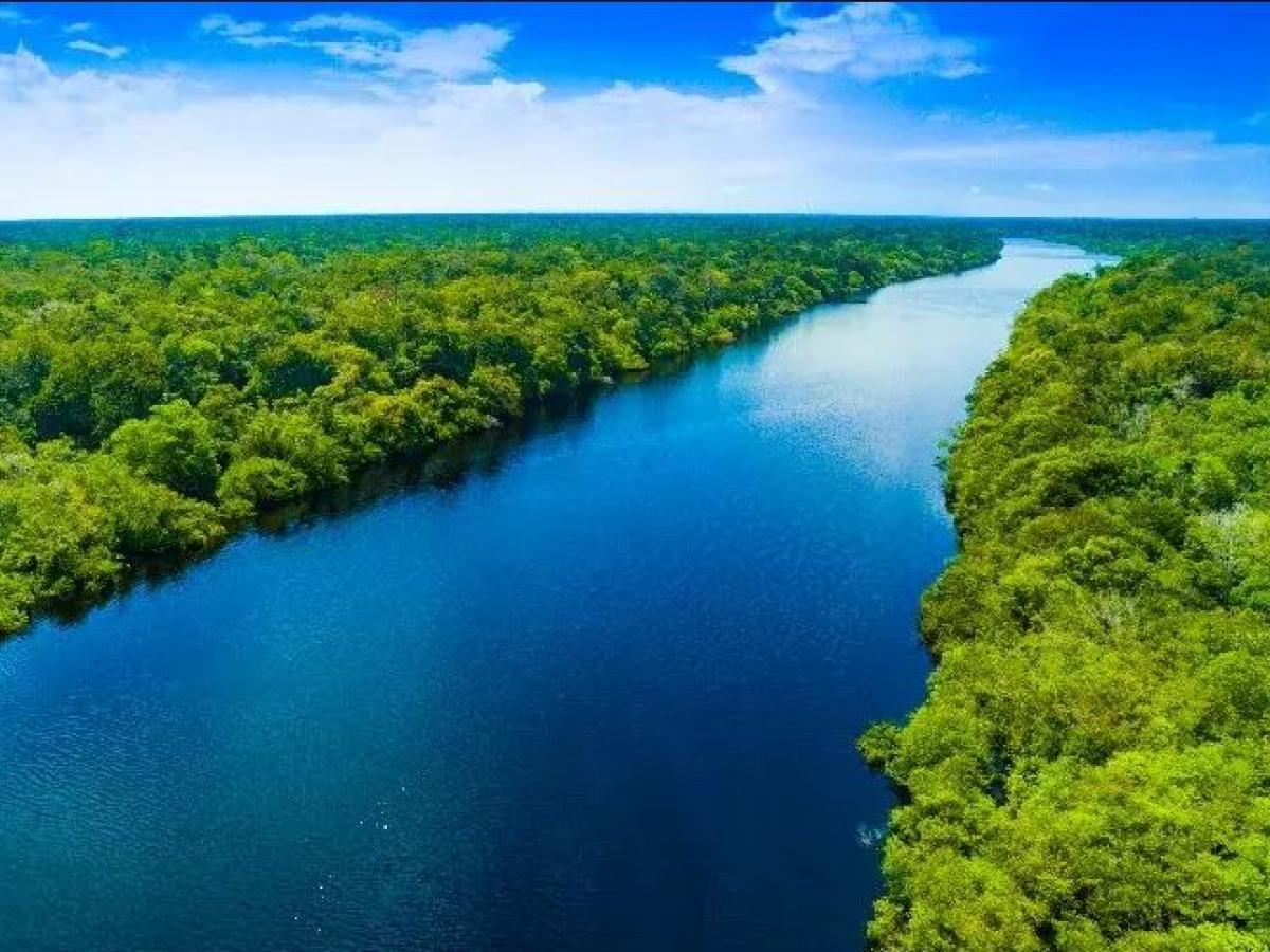 Cumbre de Países Amazónicos 2025: 18 a 22 agosto 2025 Bogotá