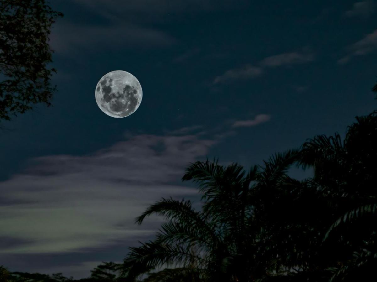 Calendario lunar 2024 Colombia