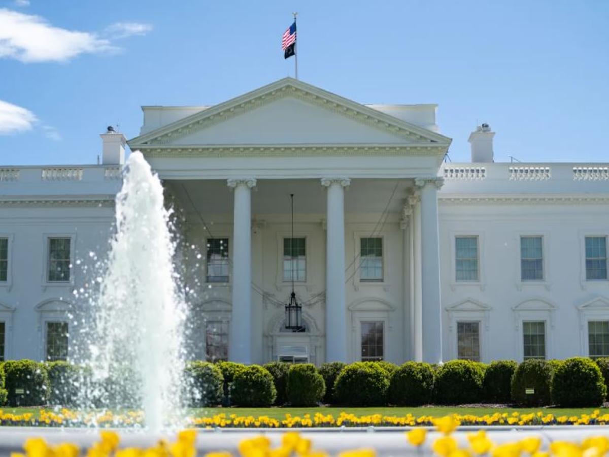 Descertificación: concepto, historia, consecuencias 