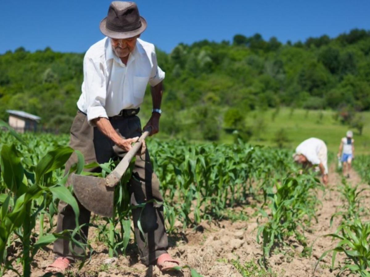¿Cuáles han sido las reformas agrarias en Colombia?