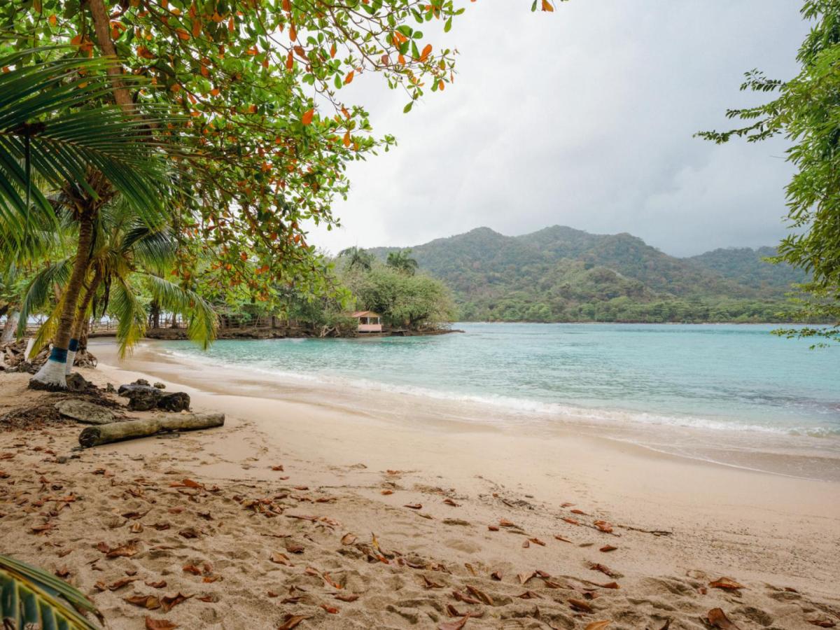 Día de Amor y Amistad: lugares para visitar con familia, amigos y pareja