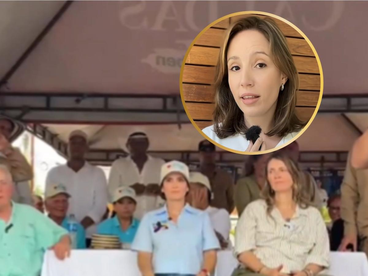 Centro Democrático acoso digital opositores