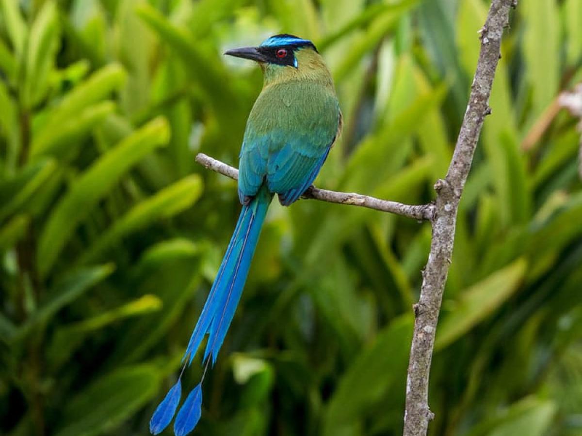 Herramientas tecnológicas para cambio climático en Quindío