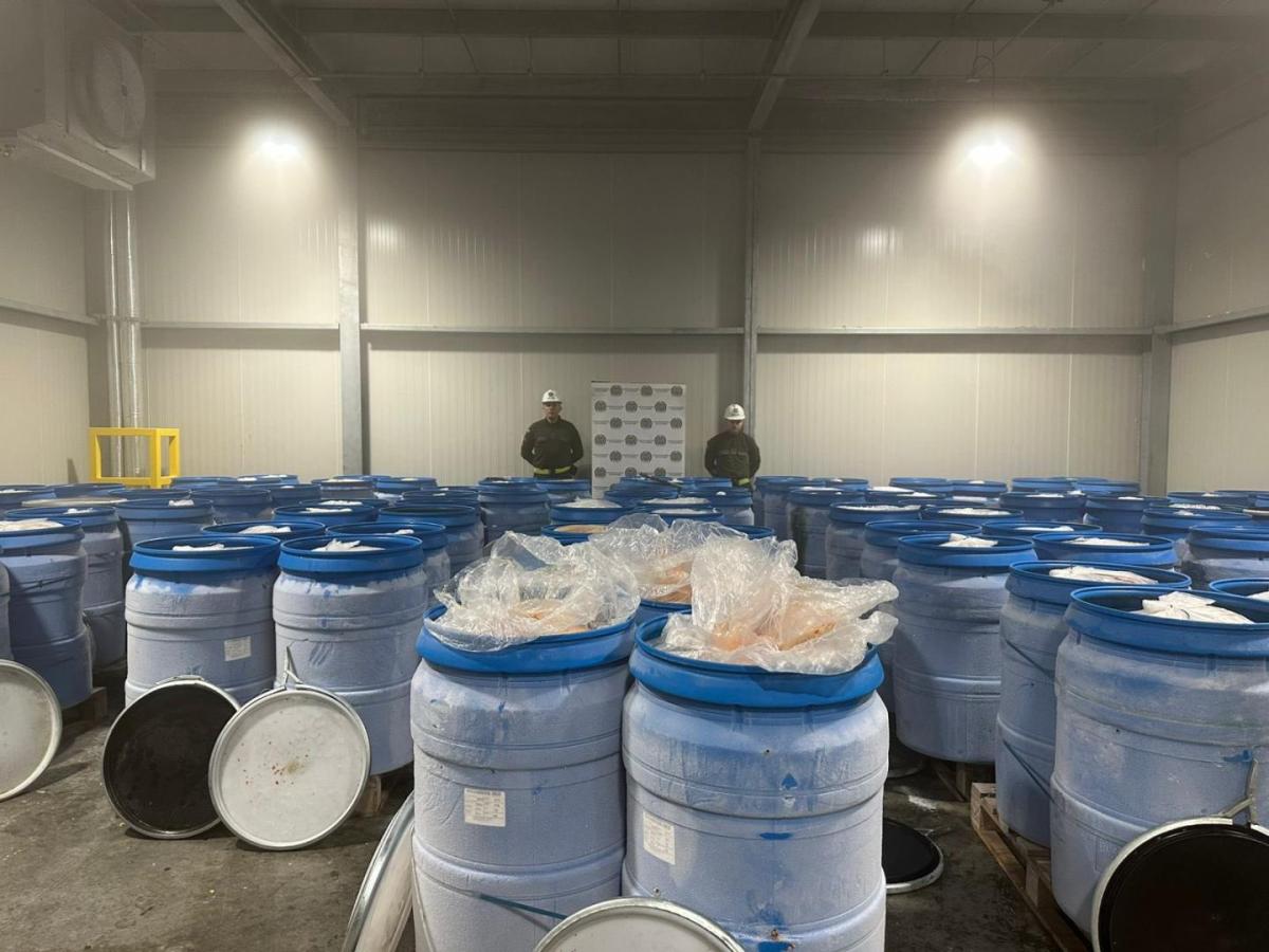 Incautación de cocaína en Cartagena: 5 toneladas iban hacia Europa y Centroamérica