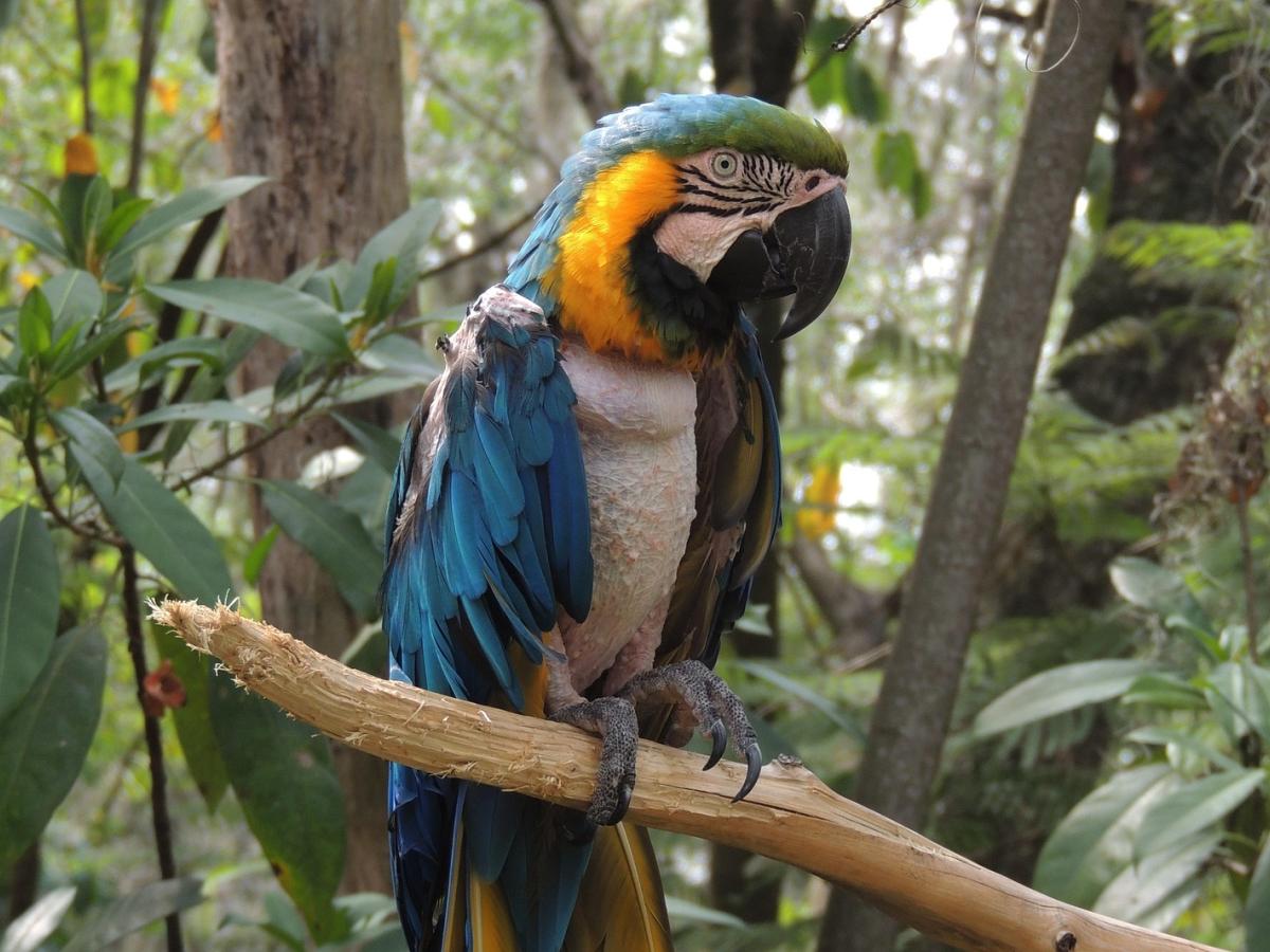 Colombia gana premio a mejor destino en evento internacional realizado en Brasil