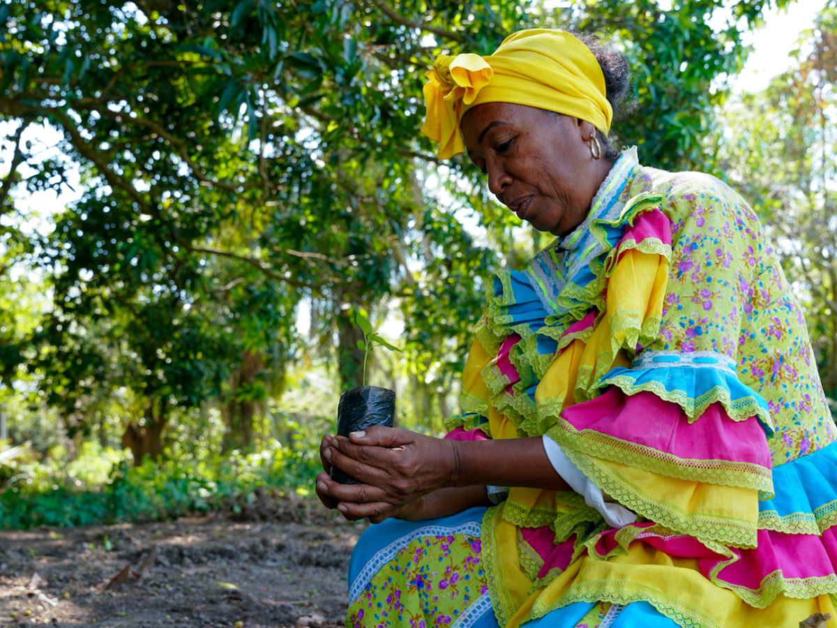 Colombia se prepara para la "Conferencia para la Transición más allá de los Combustibles Fósiles"