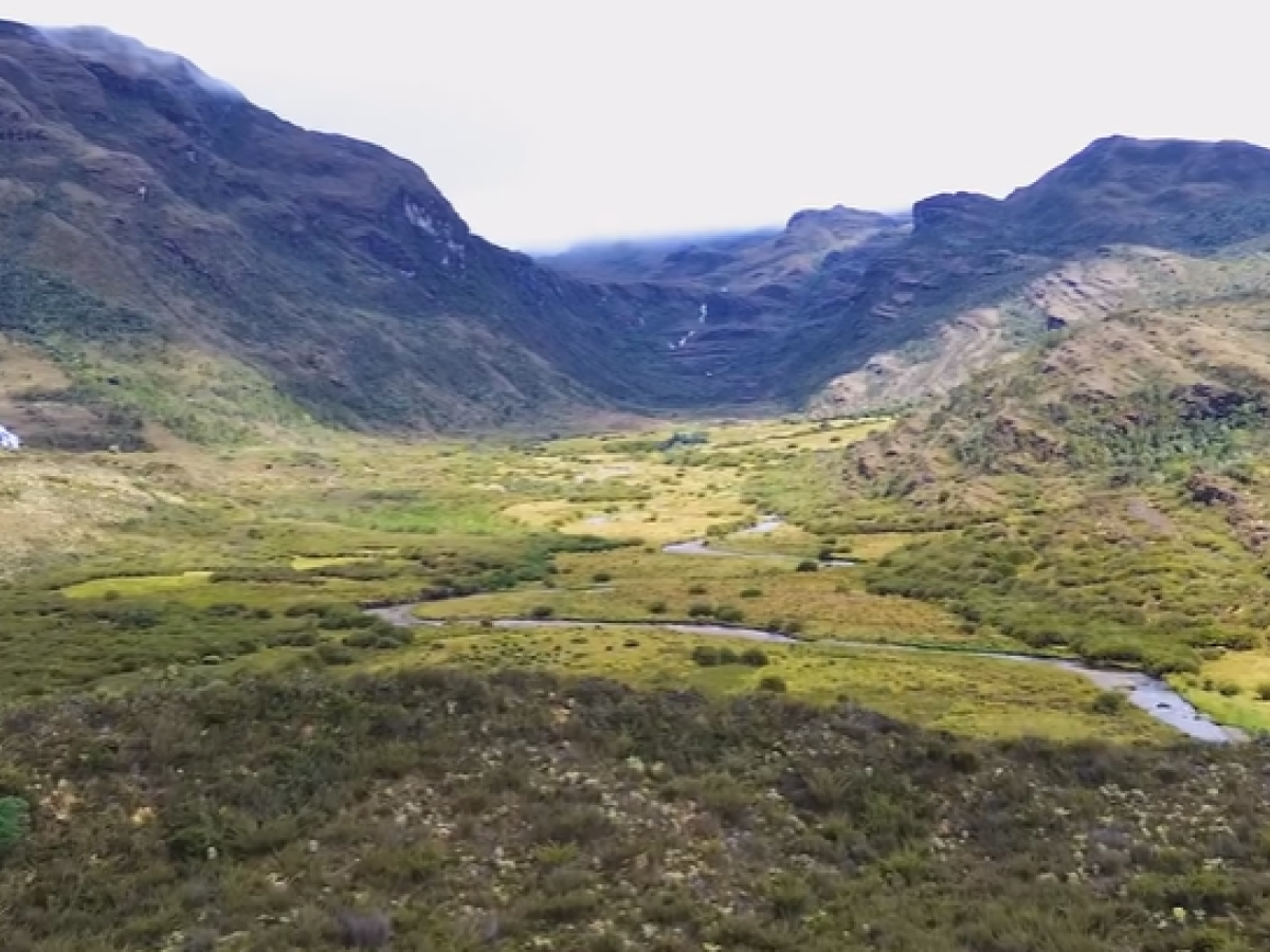 Colombia tiene más de 30 millones de hectáreas cultivables subutilizadas