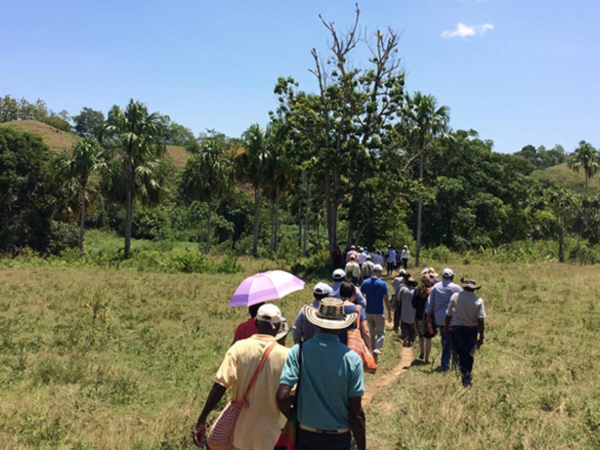 Tierras Colombia: cifras, restitución y avances 