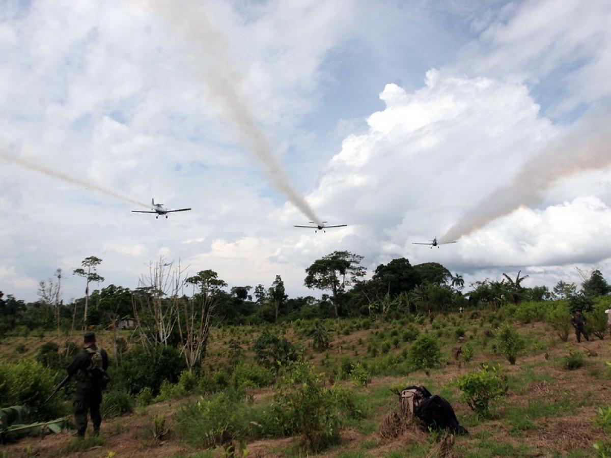 Aspersión de glifosato
