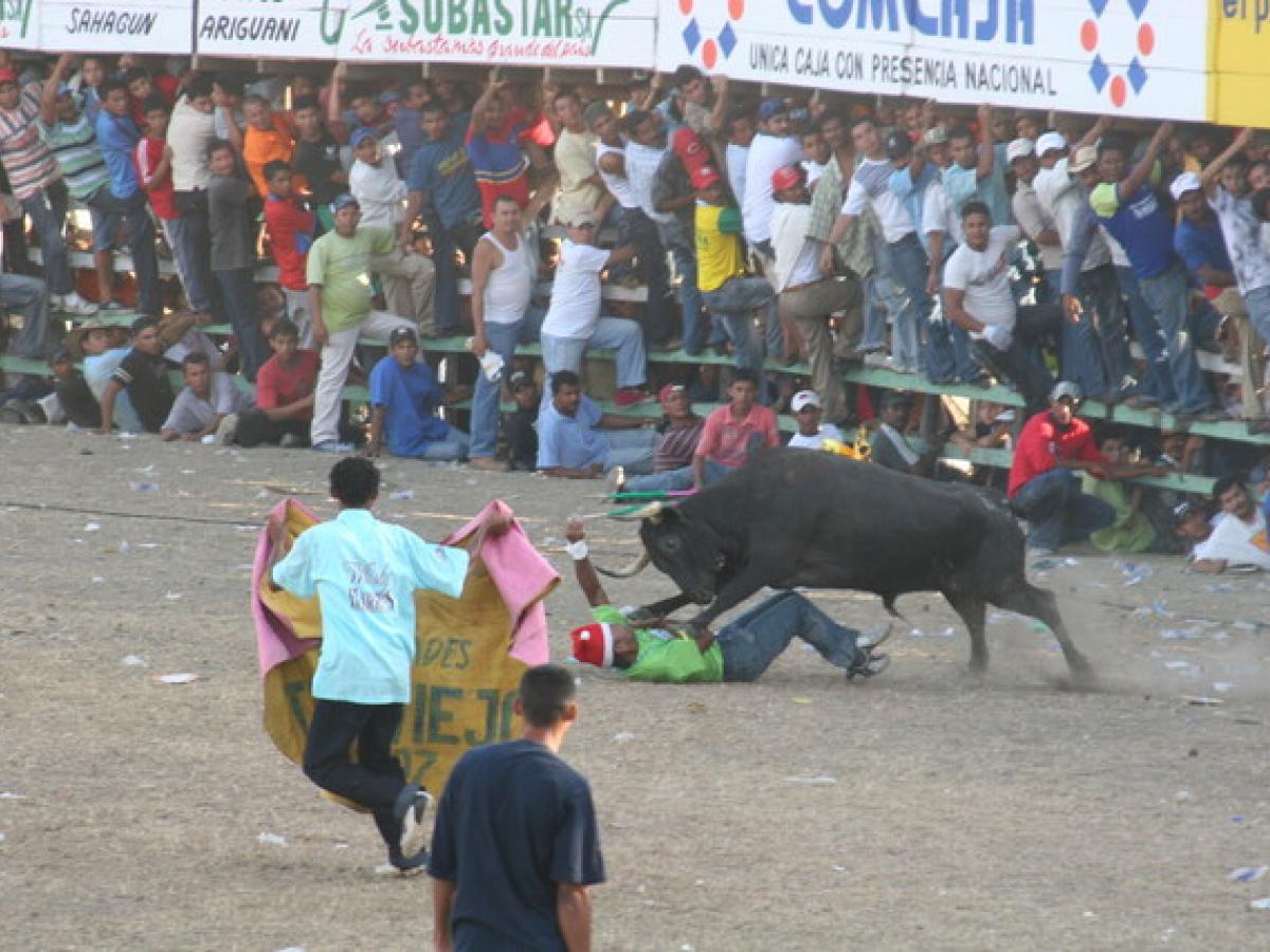 Corralejas en el Espinal | Palco en plaza de toros se desplomó