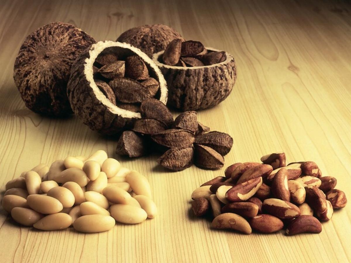 CULTIVOS AGRICOLAS ALIMENTOS NUECES-BRASIL