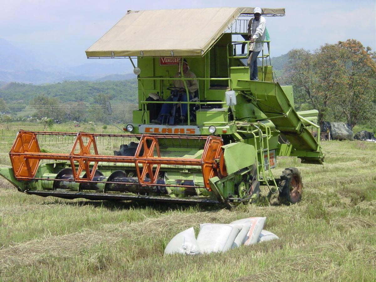 Arroceros: Gobierno anunció apoyo en almacenamiento y secamiento