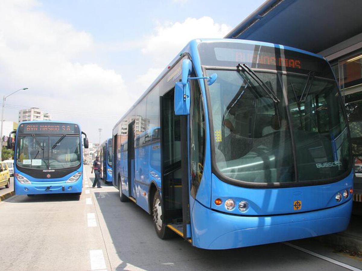 Transporte MiO en Cali: pérdidas por colados | Metrocali