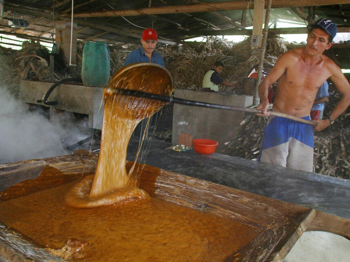 Campesinos de Nariño