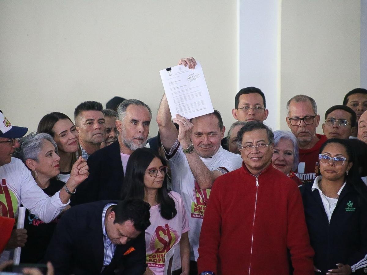 Discusión consulta popular