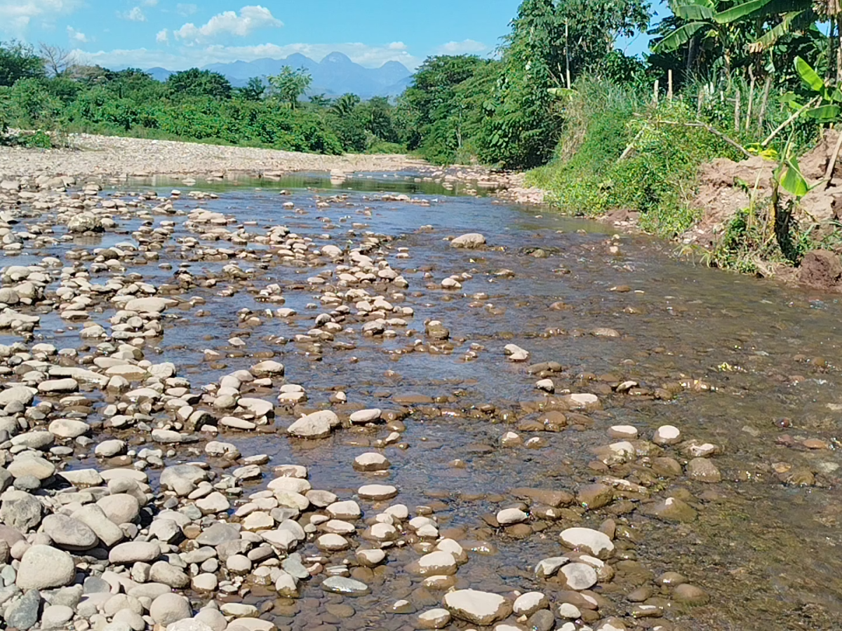 Contaminación del agua Colombia: ríos del Cesar en riesgo por deforestación y minería