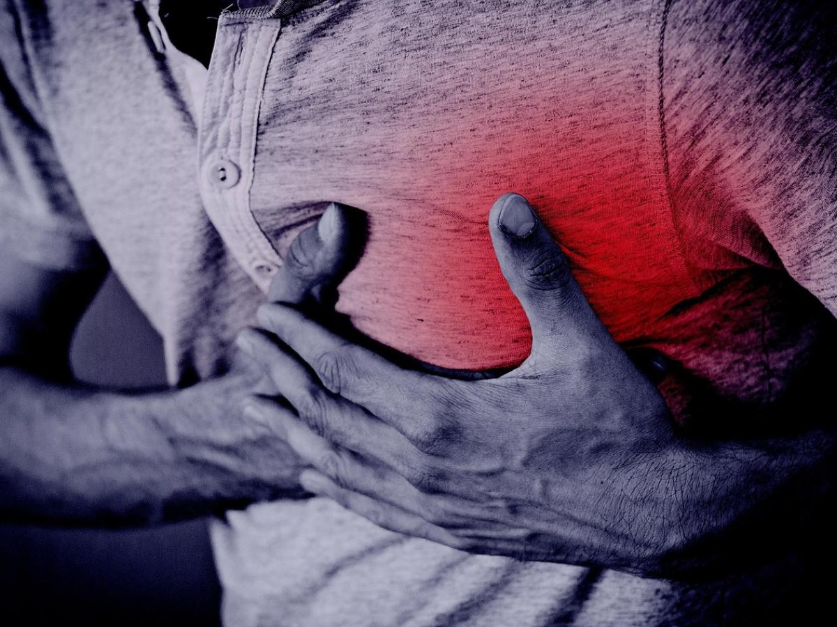 Día Mundial del Corazón: hábitos saludables y prevención de enfermedades cardiovasculares