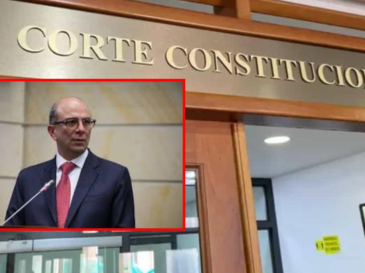 Corte Constitucional decide sobre emergencia económica