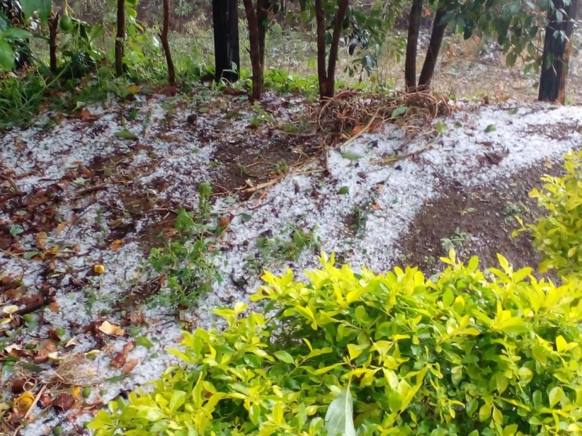 Invierno en Caldas: aguacero destechó casas en Aguadas y Pácora