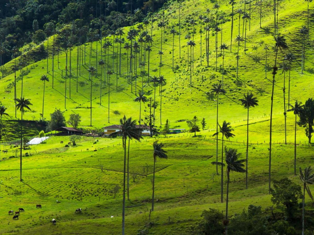 COP 16 Cali: Quindío con propuestas ambientales