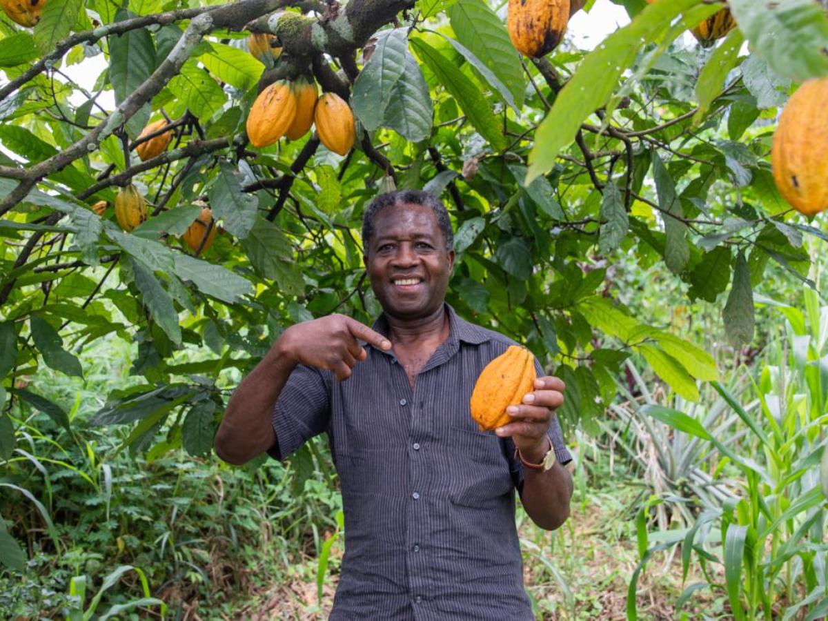 Créditos agropecuarios en 2025: Colombia habilitó 25.370 millones