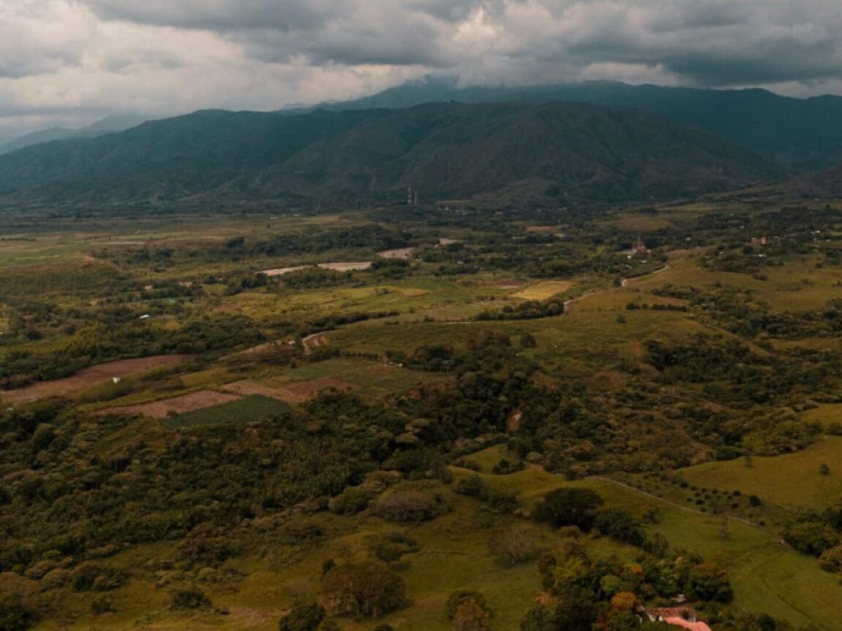 Experta advierte trabas a propuesta de la Corte Suprema sobre tierras