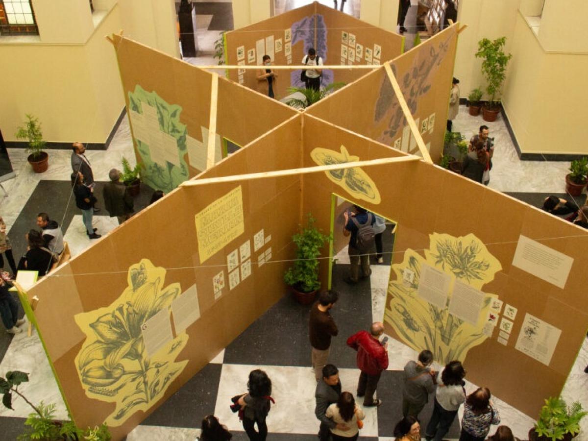 Exposición sobre Maria Sibylla Merian: la precursora de la entomología moderna