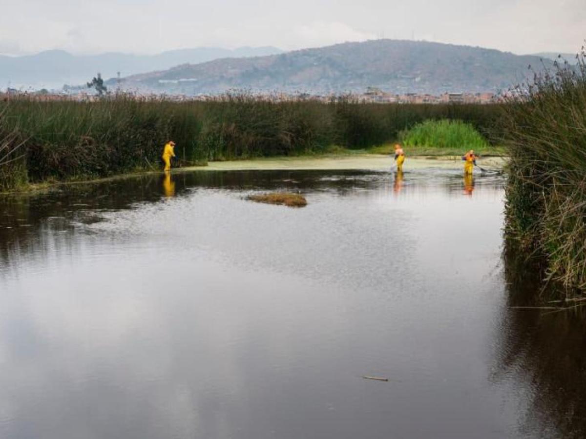 Día Mundial de los Humedales: Humedales de Bogotá 