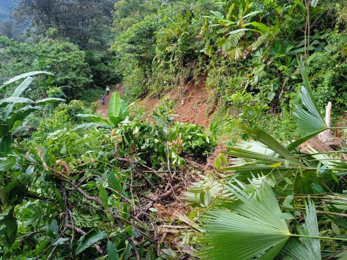 Creciente del río Paparidó HOY: afectaciones indígenas de Pueblo Rico, Risaralda