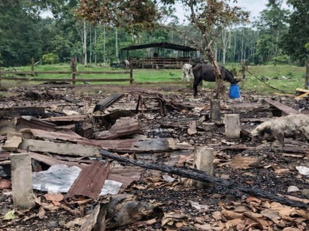 Denuncian bombardeos sobre población civil en Ecuador