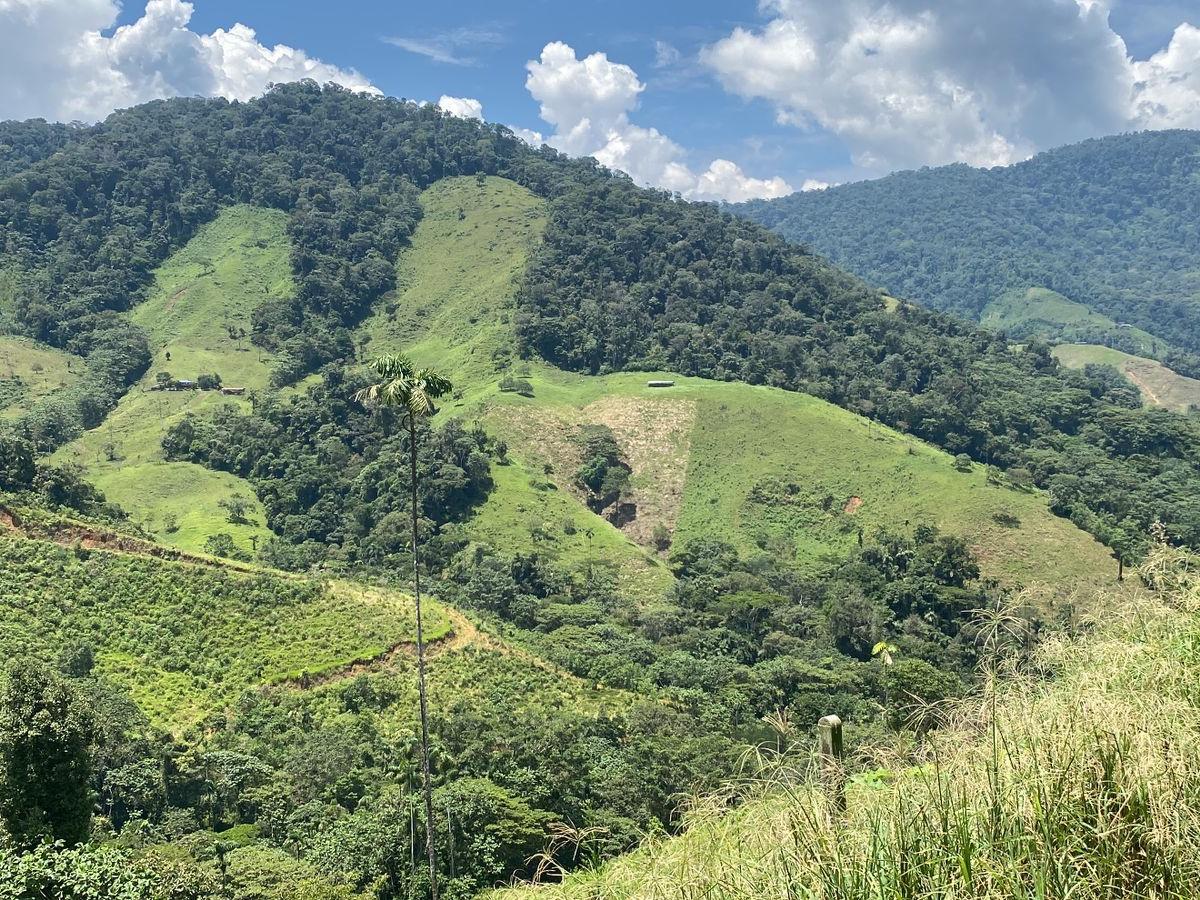 Caquetá: firmantes de paz dejan Miravalle y van hacia El Doncello 