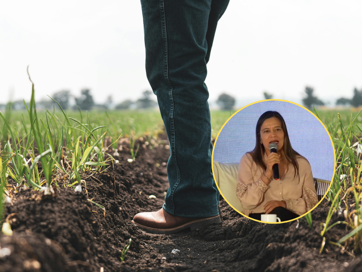 Gobierno invierte $9.000 millones en proyectos productivos en territorios del Acuerdo de Paz