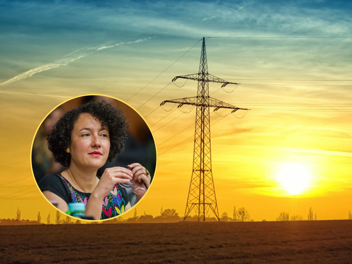 Senadora Isabel Zuleta pidió eliminar cargo por confiabilidad incluido en las tarifas de energía