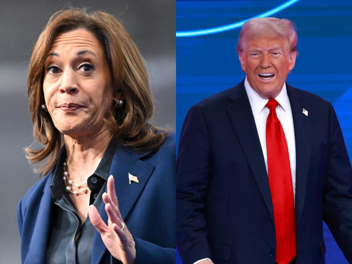 Elecciones en EE.UU. tendrían campañas desinformativas 