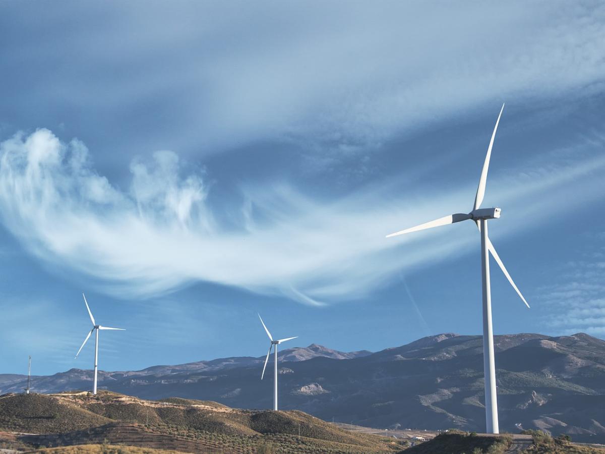 Ecopetrol realizará millonarias inversiones contra el cambio climático en 2025