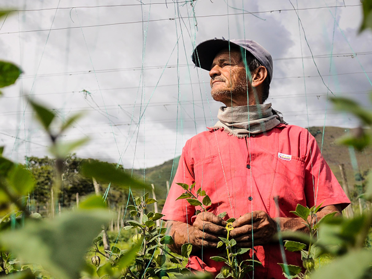 Reducción pobreza Colombia 2024: DANE