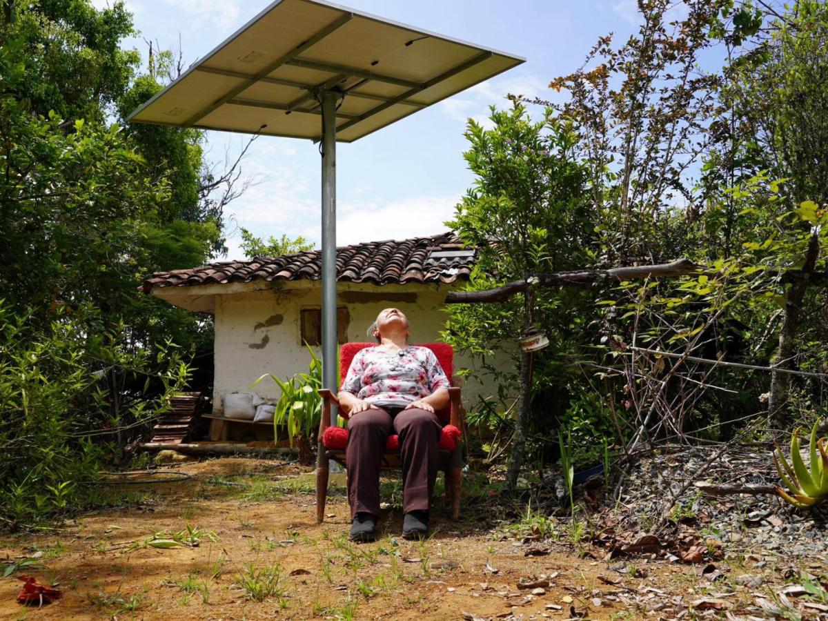 En 2025 la generación de energía solar superó al carbón