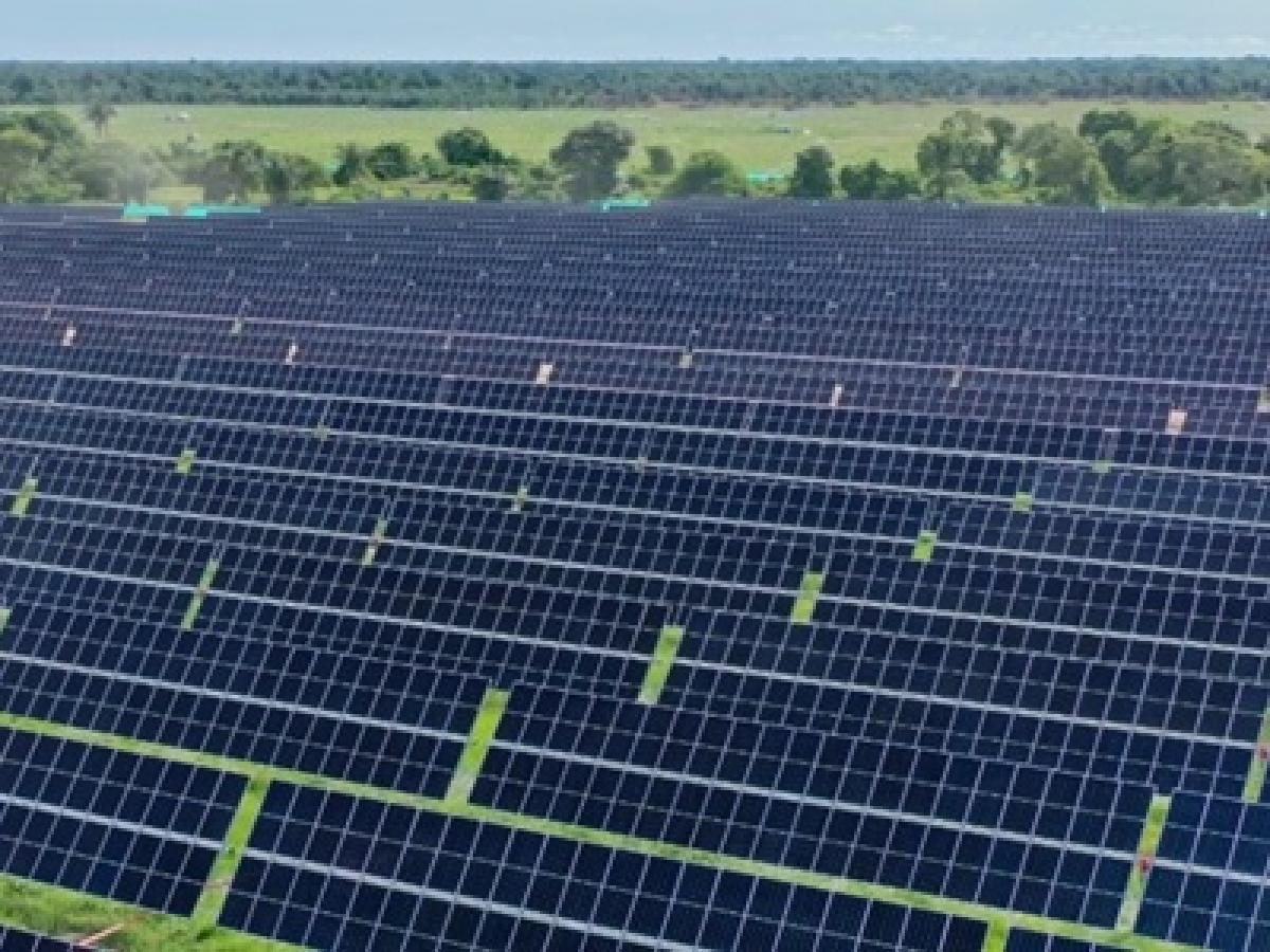 Gobierno avanza en reducir combustibles fósiles y energía limpia