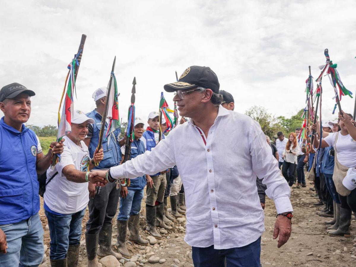 Erradicación voluntaria de hoja de coca en Nariño