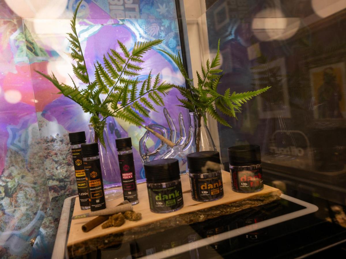 Estados Unidos reclasifica cannabis