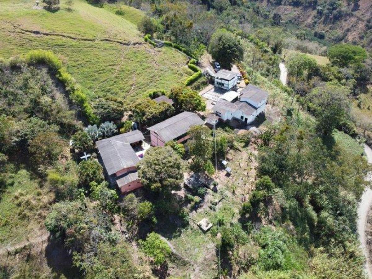 Finca Las Mercedes, en Ituango: espacio de reincorporación | Acuerdo de Paz