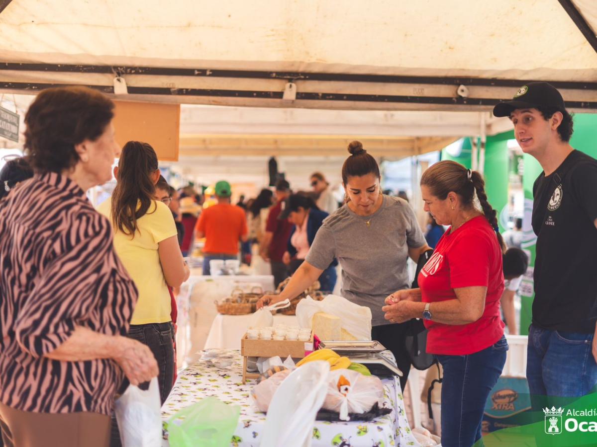 Catatumbo: Los emprendimientos sacan adelante a la región
