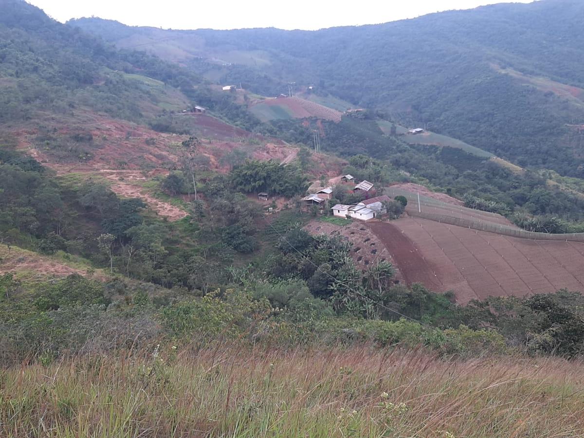 Fincas para la Paz en Norte de Santander 
