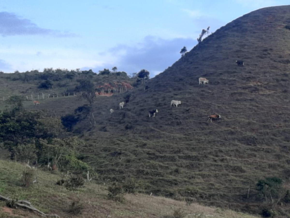 Fincas para la paz en Norte de Santander 