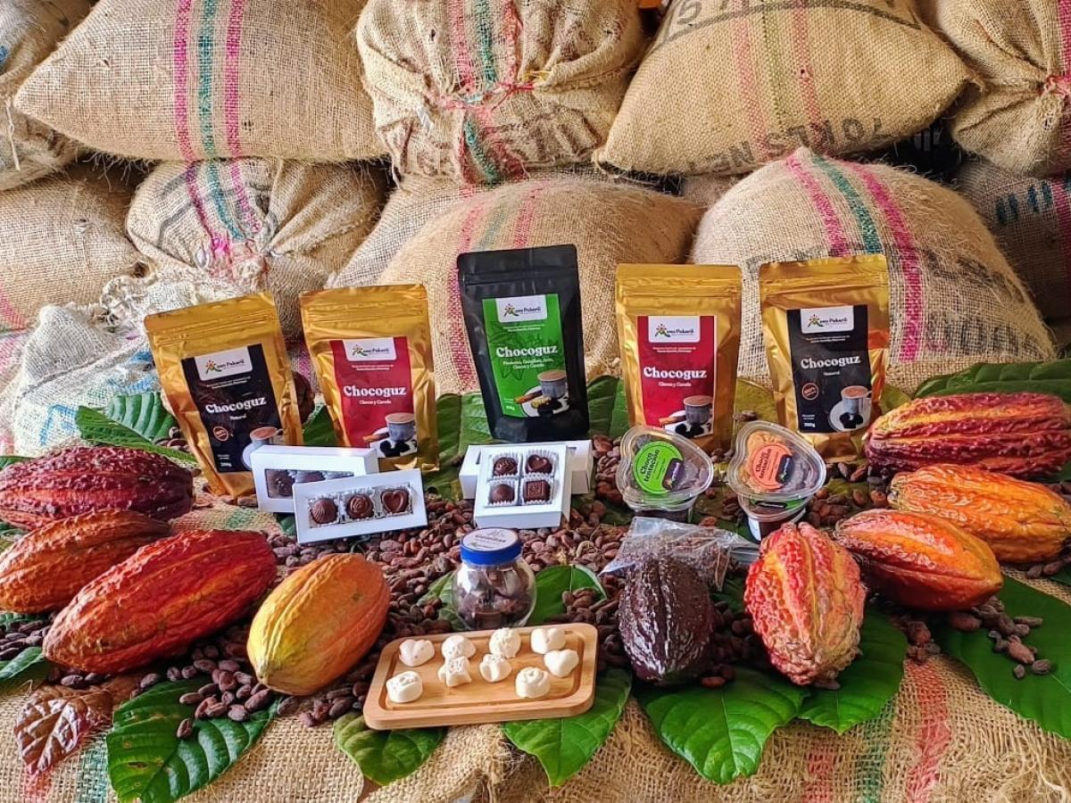 Putumayo siembra paz con el cacao