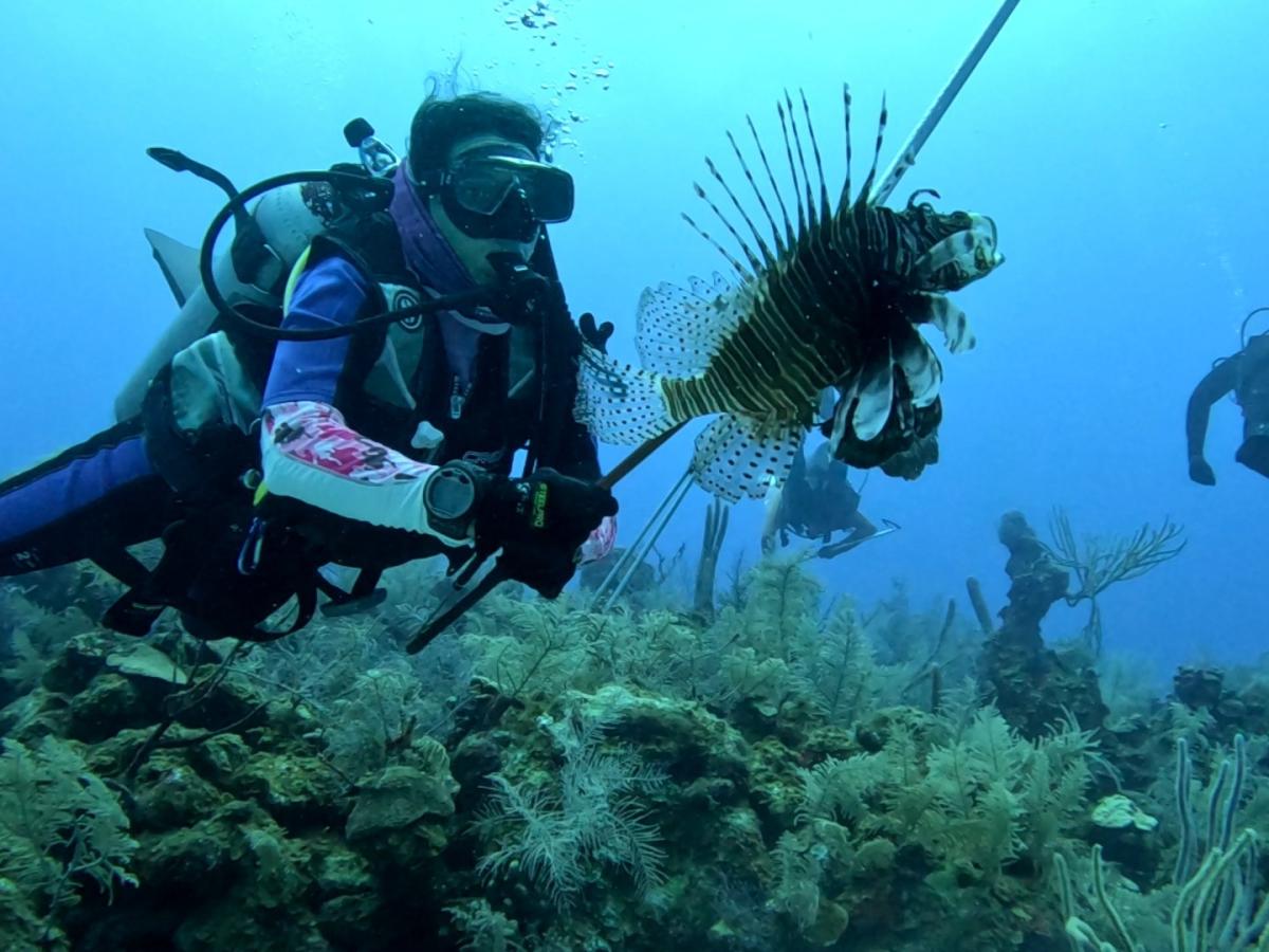 Caza de Pez león en San Andrés proteger biodiversidad marina